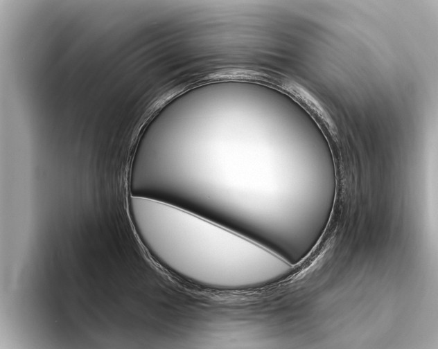 X0000094331049200711021127
