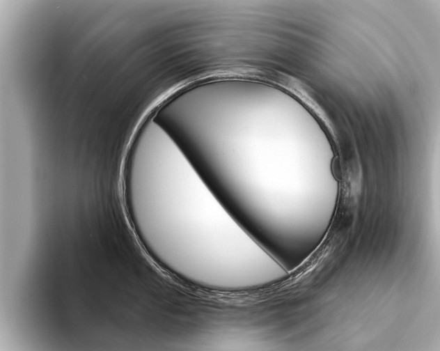 X0000094331053200711021127