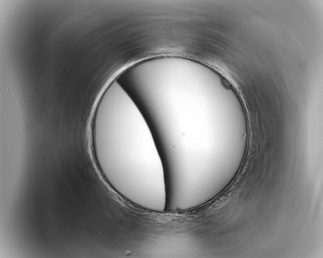 X0000094331056200711021127