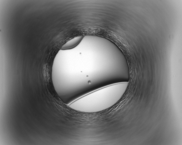 X0000094331058200711021127