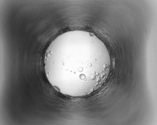 X0000094331059200711021127