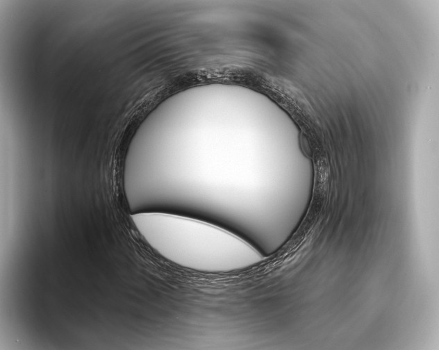 X0000094331060200711021127