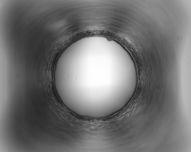 X0000094331062200711021127