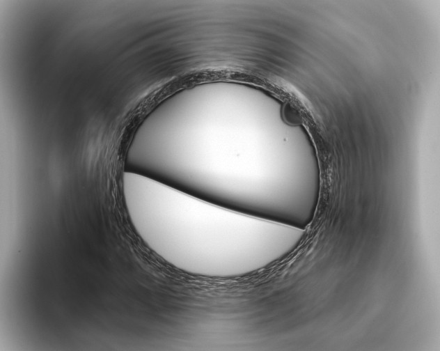 X0000094331064200711021127