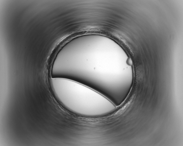 X0000094331066200711021127