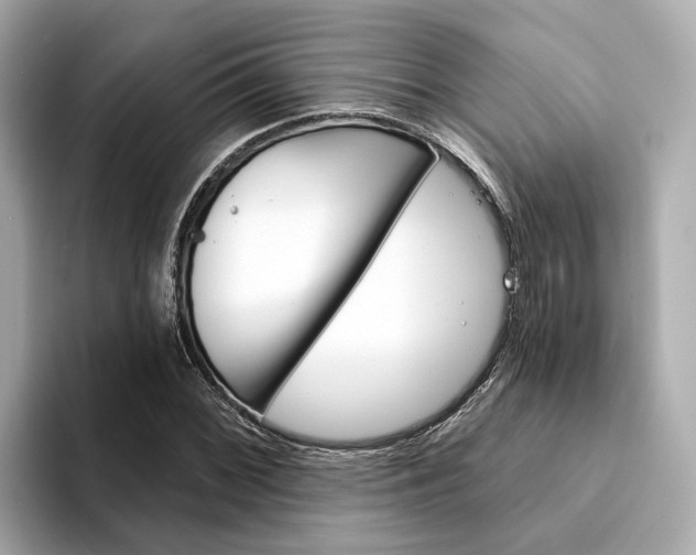 X0000094331068200711021127