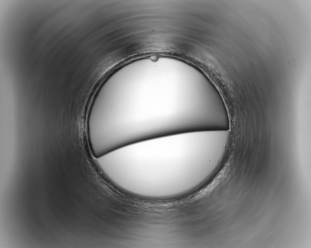 X0000094331073200711021127