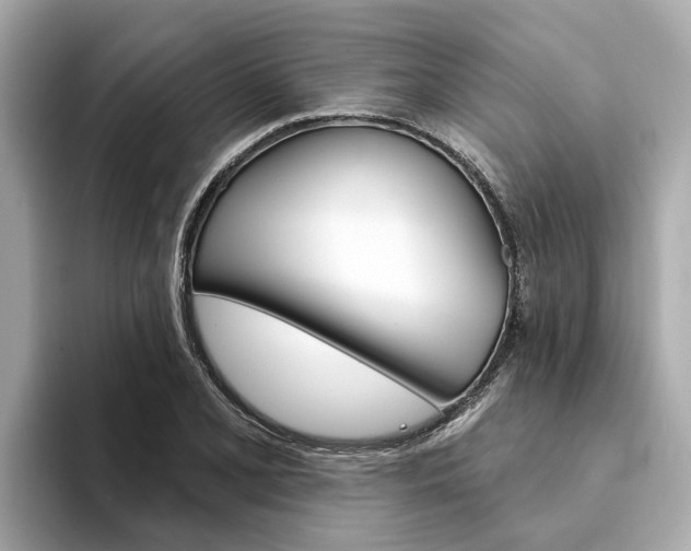 X0000094331077200711021127