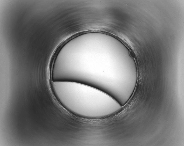 X0000094331080200711021127