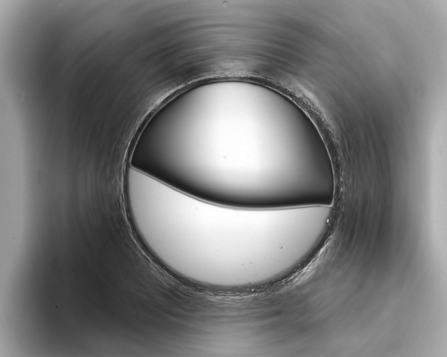 X0000094331081200711021127
