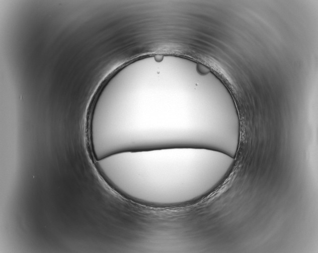 X0000094331087200711021127