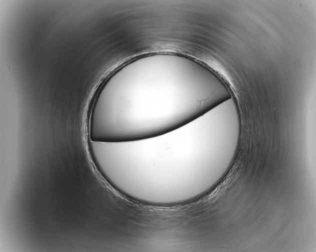 X0000094331088200711021127