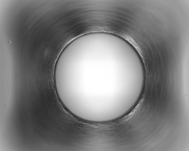 X0000094331089200711021127