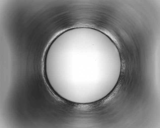 X0000094331094200711021126