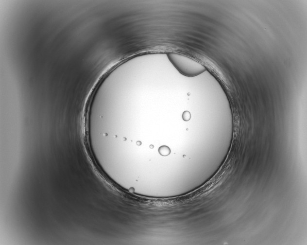 X0000094331095200711021126