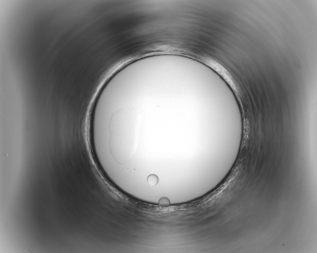 X0000094331098200711021126
