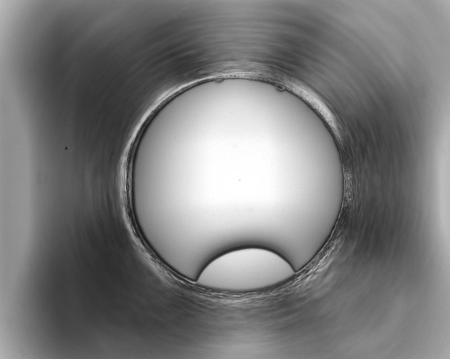 X0000094331099200711021126