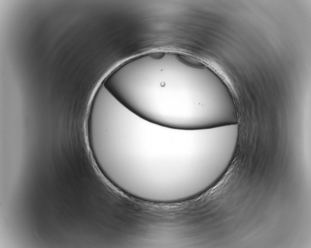 X0000094331100200711021126