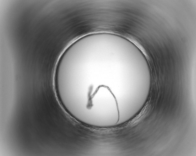 X0000094331101200711021126
