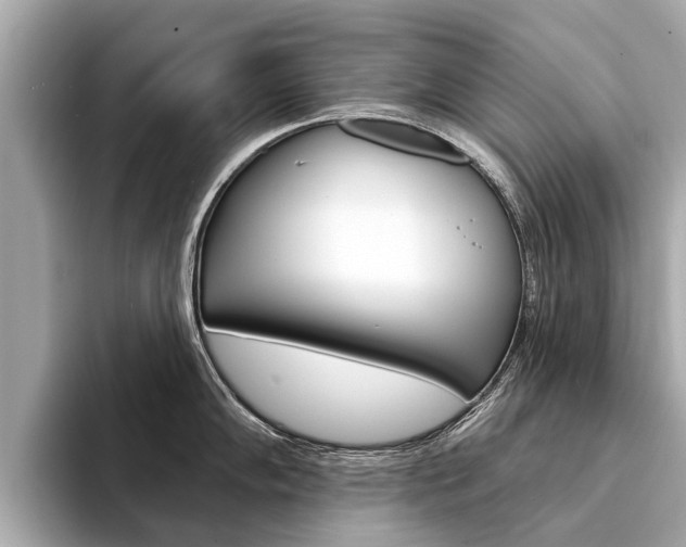 X0000094331102200711021126