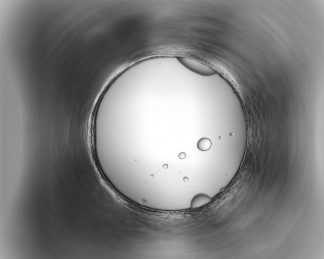 X0000094331103200711021126
