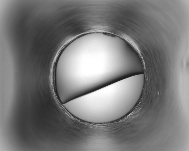 X0000094331104200711021126