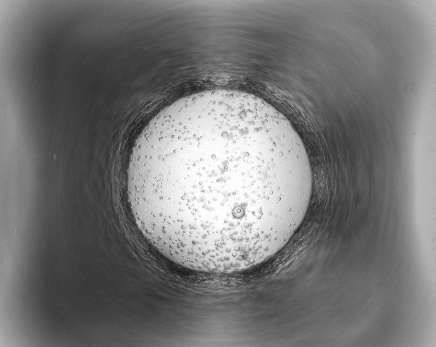 X0000094331105200711021126