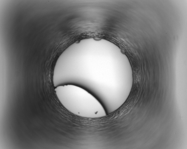X0000094331106200711021126