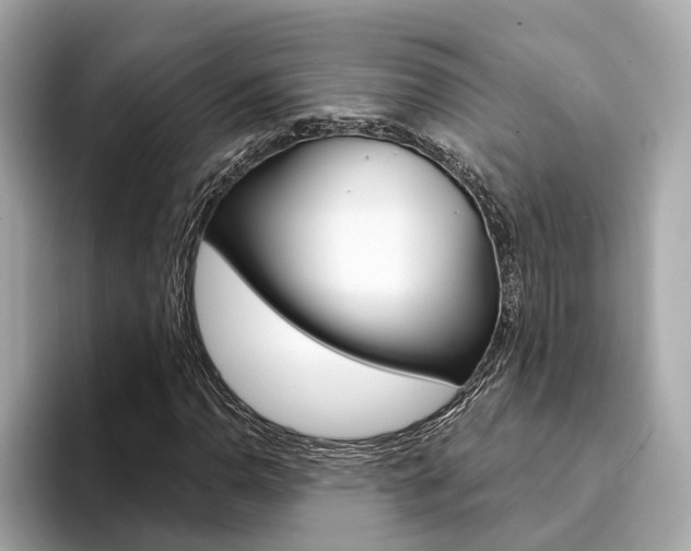 X0000094331110200711021126