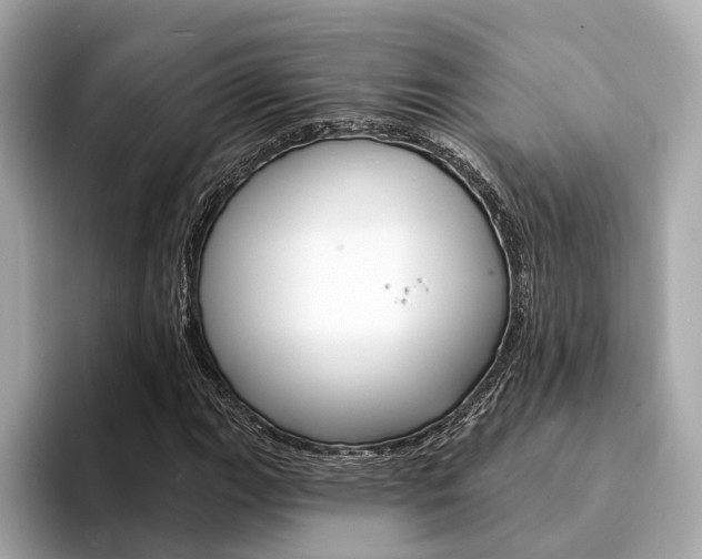 X0000094331111200711021126