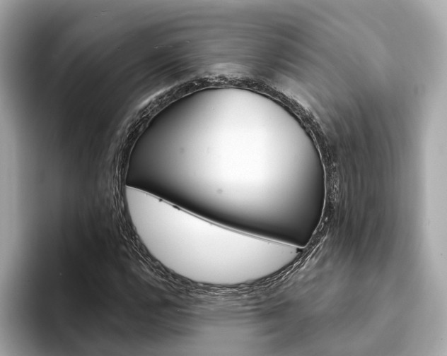 X0000094331112200711021126