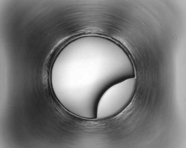 X0000094331115200711021126