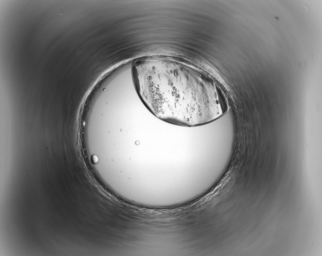 X0000094331116200711021126