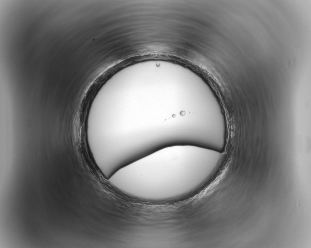 X0000094331117200711021126