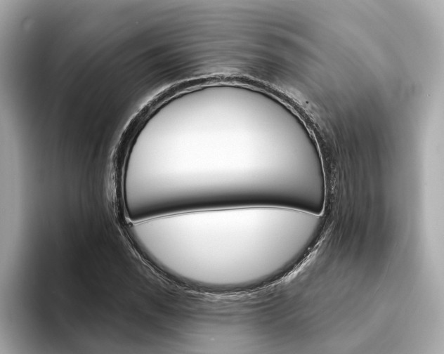 X0000094331118200711021126