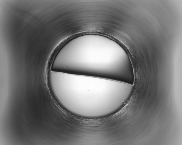 X0000094331119200711021126