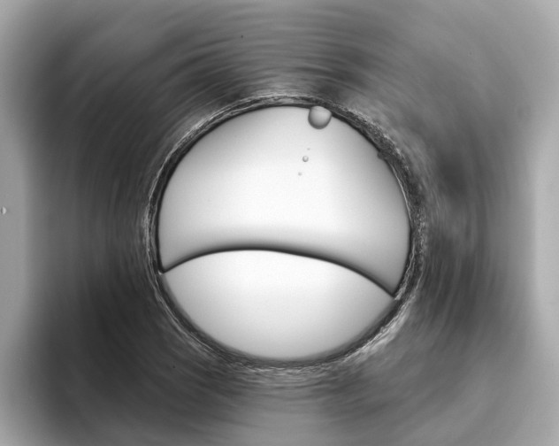 X0000094331121200711021126