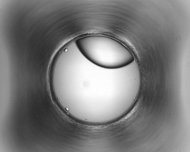 X0000094331122200711021126