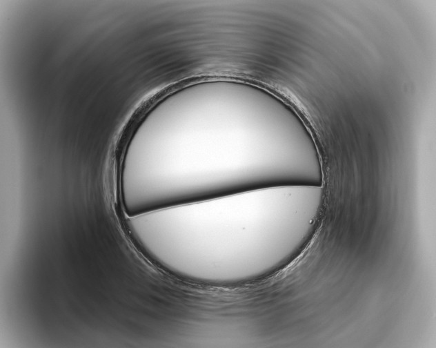 X0000094331123200711021126