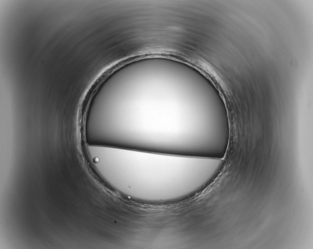 X0000094331124200711021126