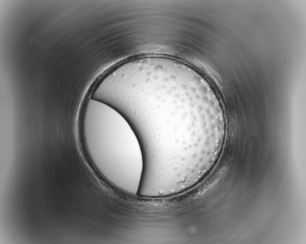 X0000094331125200711021126