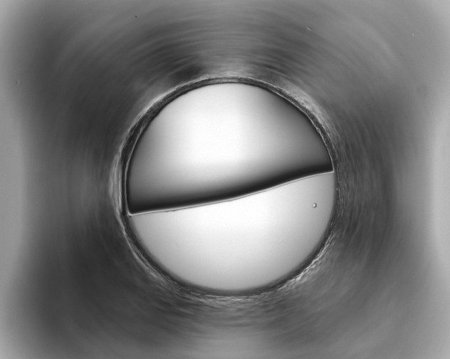 X0000094331127200711021126