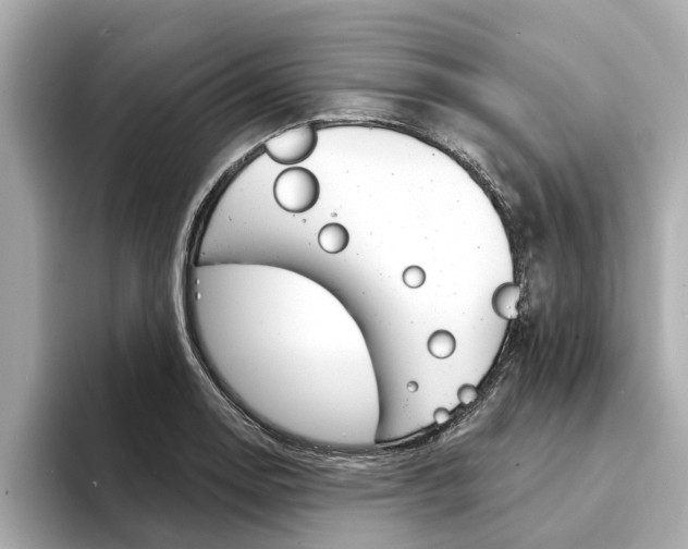 X0000094331130200711021126