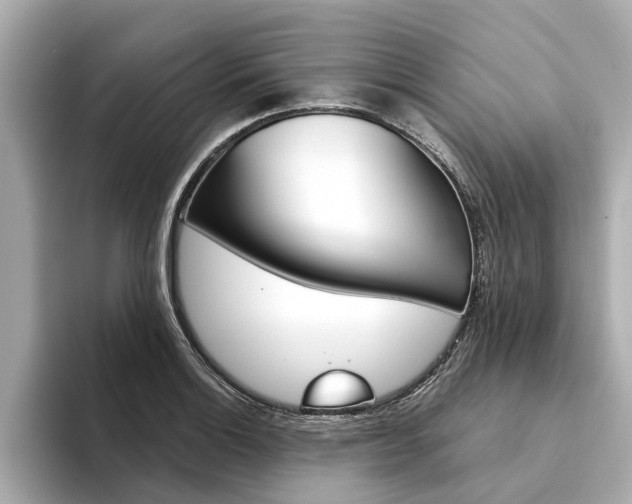 X0000094331132200711021126