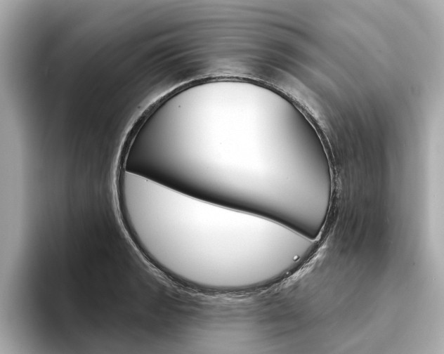 X0000094331133200711021126