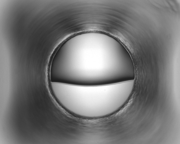 X0000094331134200711021126
