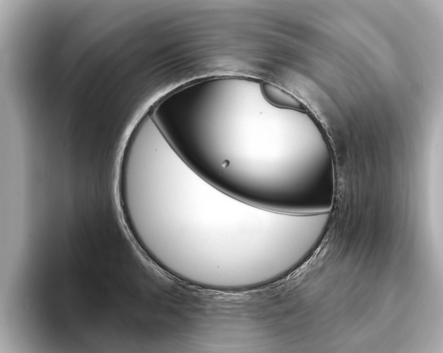 X0000094331136200711021126