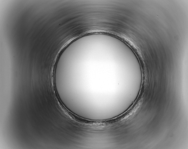X0000094331137200711021126