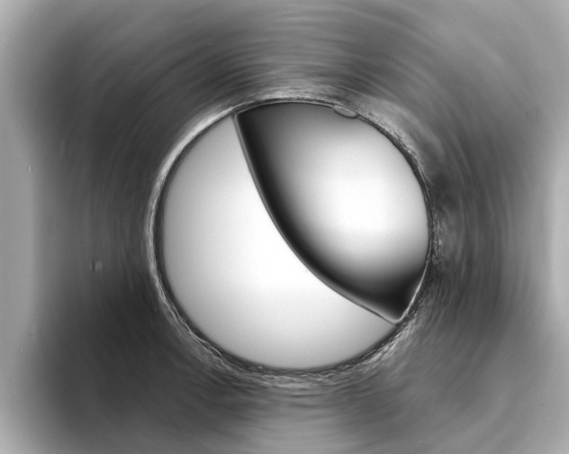 X0000094331138200711021126