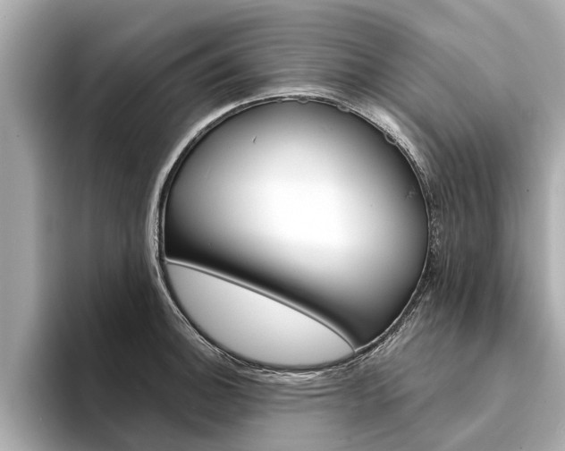 X0000094331140200711021126